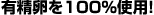 �L������100���g�p