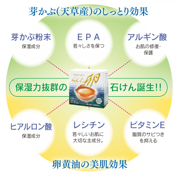 芽かぶ(天草産)のしっとり効果。保湿力抜群の石けん誕生！